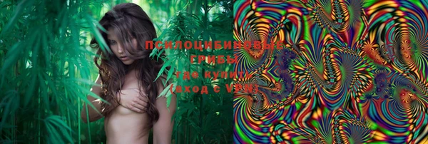 дживик Покров