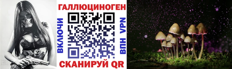 Купить  Петропавловск-Камчатский  Галлюциногенные грибы Cubensis 